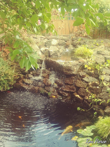 Pet Supply Store «Copper Creek Mercantile», reviews and photos, 4415 River Rd N, Keizer, OR 97303, USA