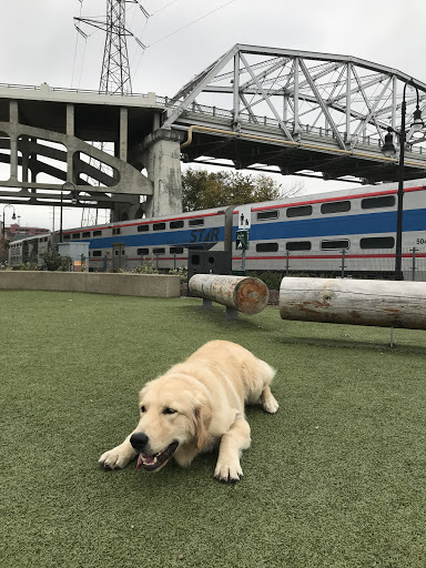 Downtown Dog Park