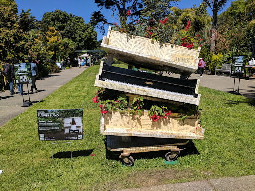 San Francisco Botanical Garden