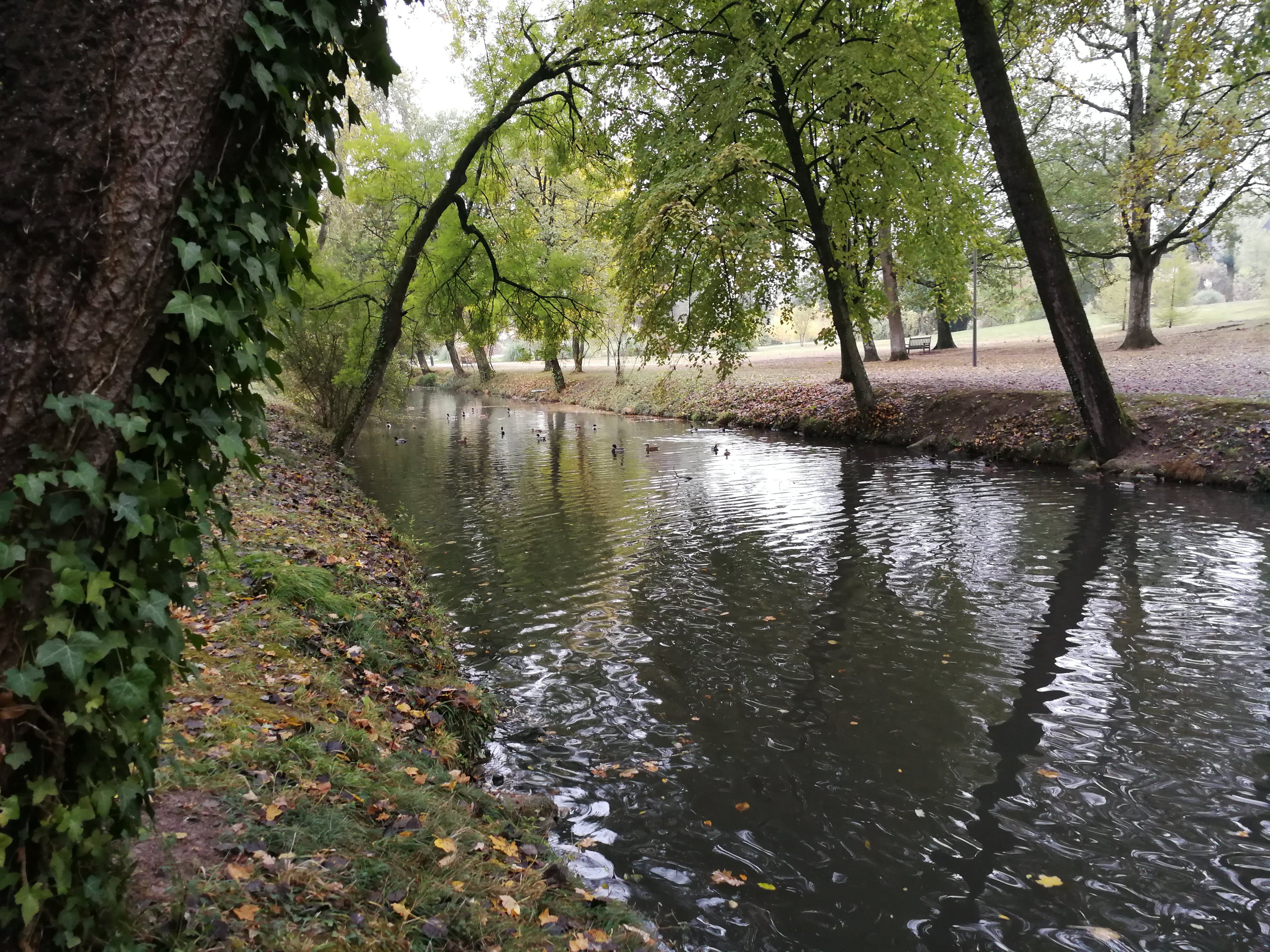 Photo n° 10 de l'avis de Francoise.o fait le 30/08/2018 à 14:33