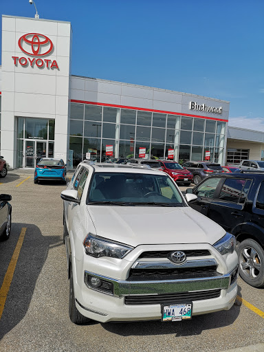 Birchwood Automotive Group, 3965 Portage Ave #35D, Headingley, MB R4H 1C6, Canada, 