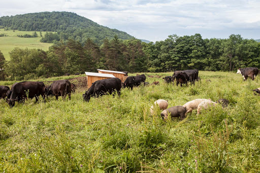 Butcher Shop «Fleishers Craft Butchery», reviews and photos, 192 5th Ave, Brooklyn, NY 11217, USA