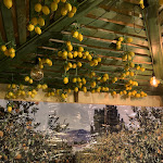 Photo n°2 de l'avis de Nuovo.n fait le 11/09/2022 à 21:14 sur le  Scugnizzo gourmet à Stradella