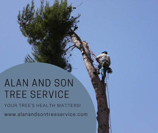 Alan and Son Tree Service