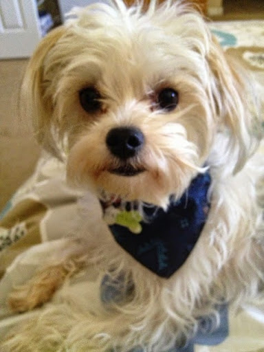 Health Food Store «Jems Natural Living», reviews and photos, 11909 Sheldon Rd, Tampa, FL 33626, USA