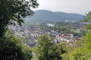 Wald am Busigberg bei Großheubach image