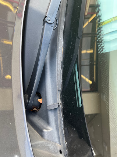 Used Car Dealer «CarMax», reviews and photos, 14920 N Nebraska Ave, Tampa, FL 33613, USA