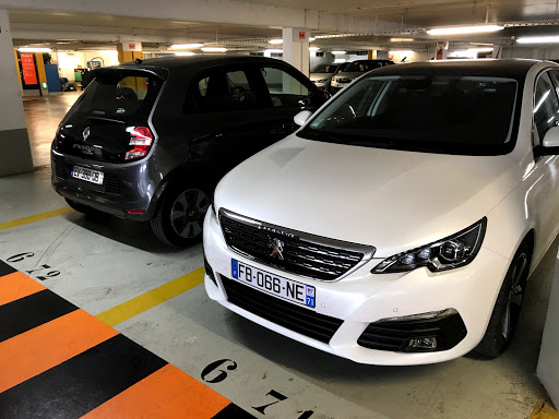 Car rental with driver Lyon