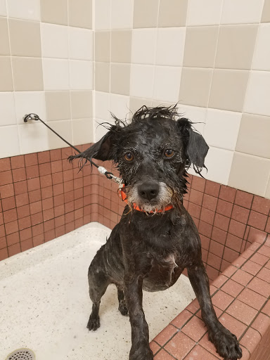 Pet Supply Store «Pet Food Express», reviews and photos, 265 Davis St, San Leandro, CA 94577, USA