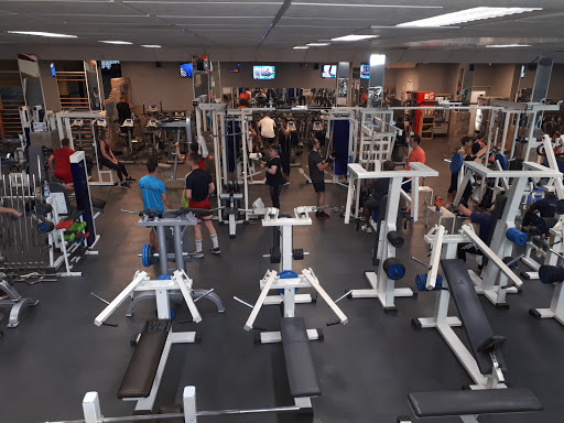 Zaragoza Muscle Gym Center en Zaragoza, Zaragoza