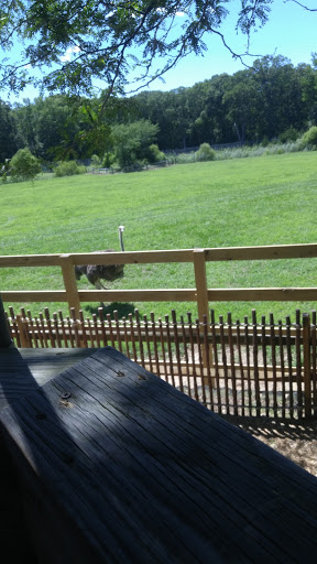 Zoo «Cape May County Park & Zoo», reviews and photos, 707 U.S. 9, Cape May Court House, NJ 08210, USA