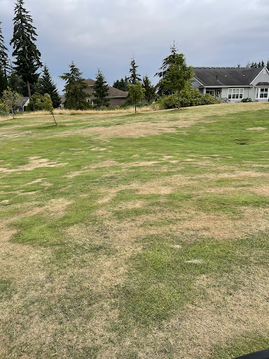 Golf Club «The Golf Club At Redmond Ridge», reviews and photos, 11825 Trilogy Pkwy NE, Redmond, WA 98053, USA