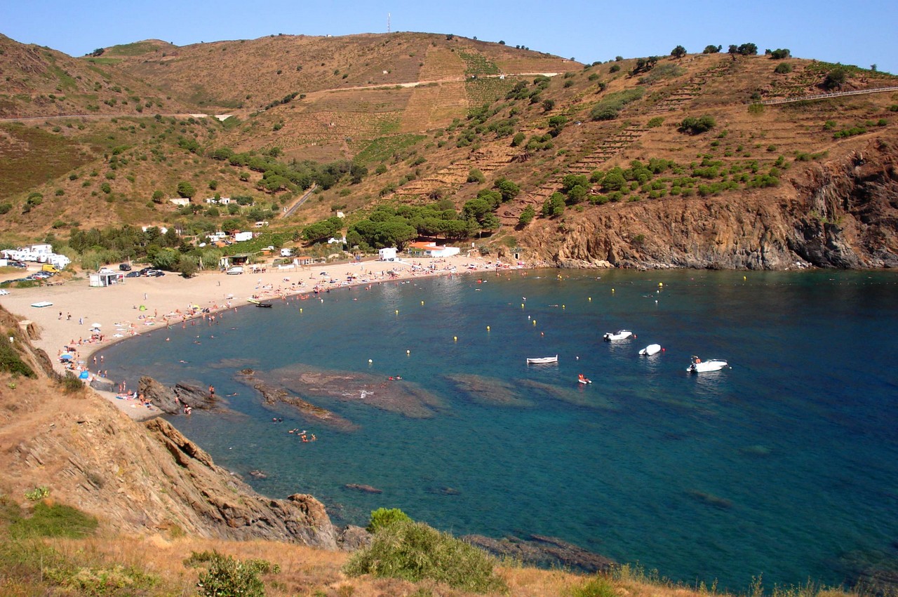 Foto av Peyrefite beach med grå sten yta