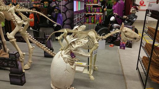 Home Improvement Store «The Home Depot», reviews and photos, 2508 Skyline Blvd, Cape Coral, FL 33914, USA