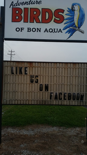 Pet Store «Adventure Birds of Bon Aqua», reviews and photos, 9600 TN-46, Bon Aqua, TN 37025, USA