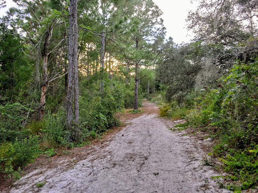 Shadow Bay Park