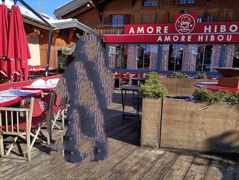 AMORE HIBOU - MEGEVE à Megève