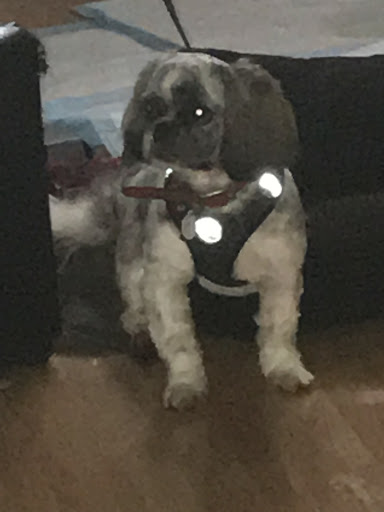 Barber Shop «PHASE TOO BARBER SHOP», reviews and photos, 210 Jerome Ln, Cahokia, IL 62206, USA