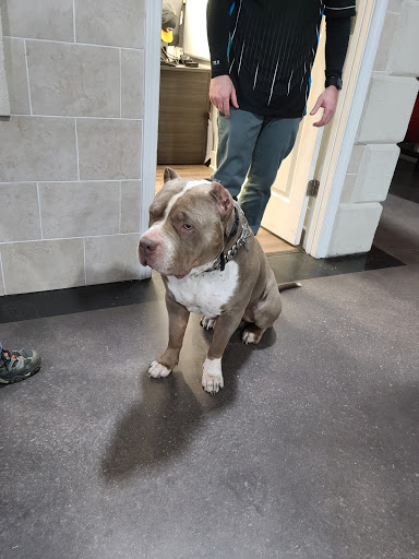 Motorcycle Dealer «Mountain Motorsports Marietta», reviews and photos, 780 Cobb Pkwy S, Marietta, GA 30062, USA