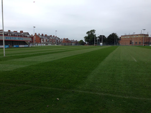 South Shields Westoe RFC