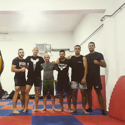 Free Fighters Gym (FFG) - Mixed Martial Arts (MMA) - Braće Lučić 25, Novi Sad 21000, Serbia