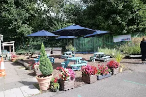 Sunnyside Rural Trust | Hemel Food Garden image