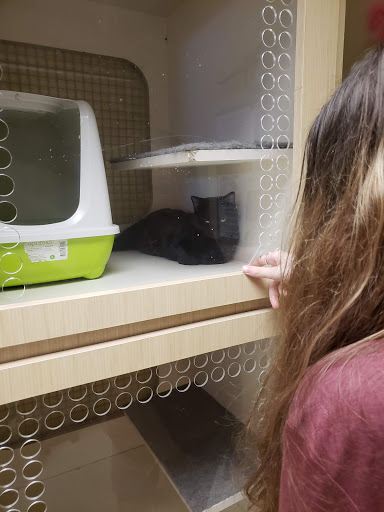 Pet Supply Store «Petco Animal Supplies», reviews and photos, 30 Veterans Memorial Hwy, Commack, NY 11725, USA