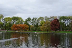 Richmond Park image