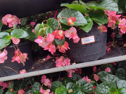 Home Improvement Store «The Home Depot», reviews and photos, 8211 Macedonia Commons Blvd, Macedonia, OH 44056, USA