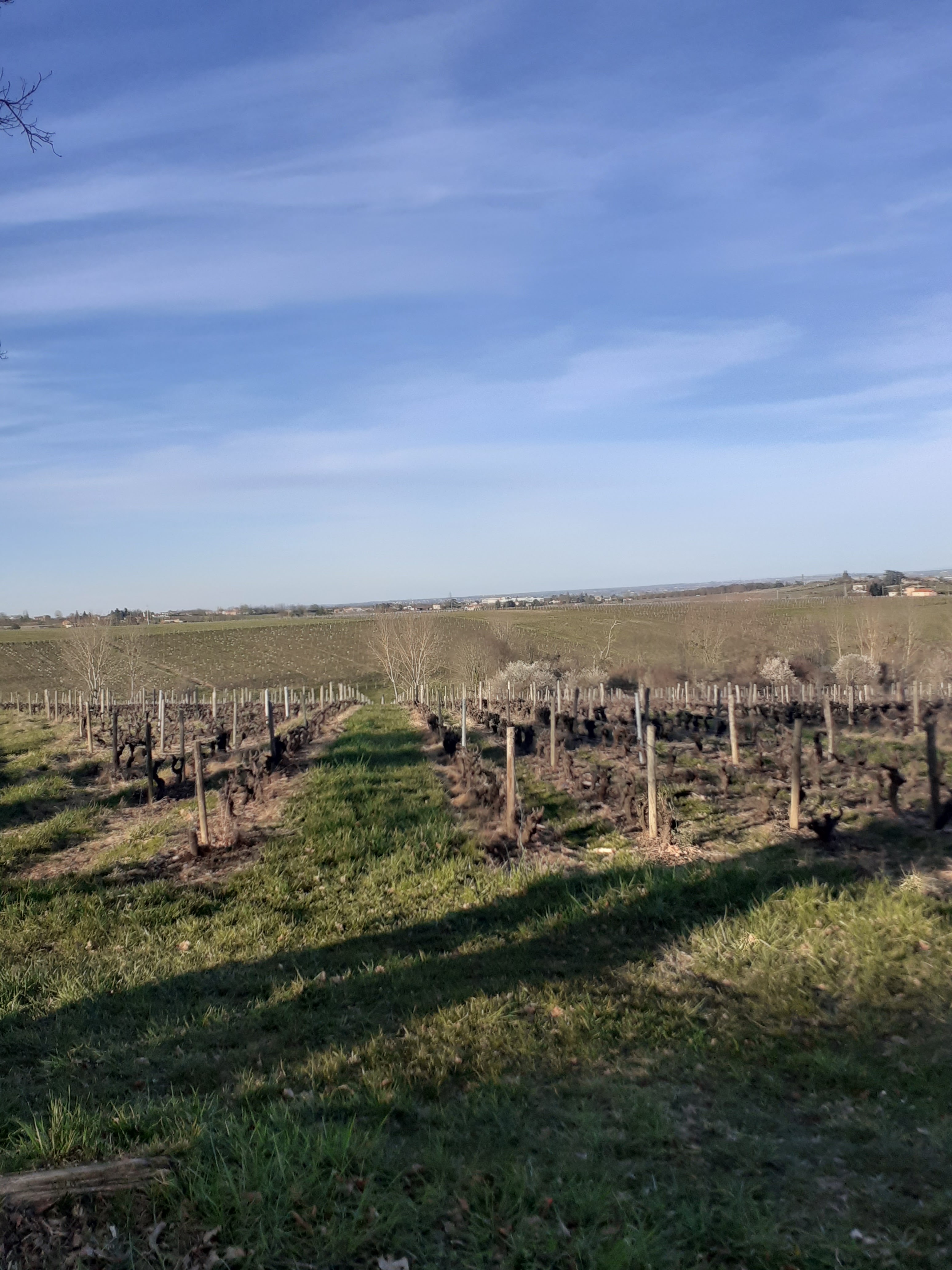 Photo n° 12 de l'avis de Hugo.o fait le 16/03/2023 à 16:58