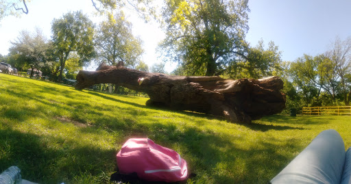 Park «Getzendaner Park», reviews and photos, 400 S Grand Ave, Waxahachie, TX 75165, USA