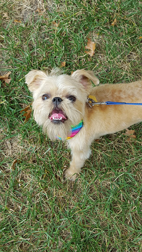 Pet Store «Whisker Bones Supply Co.», reviews and photos, 138 N Main St, Edwardsville, IL 62025, USA