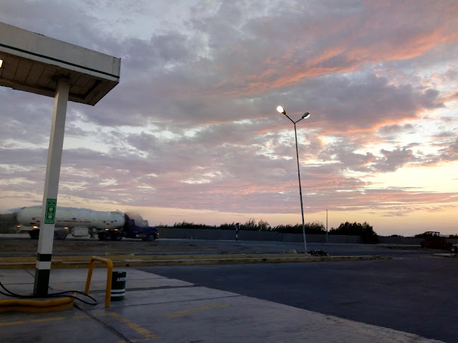 Opiniones de Grifo Petro Perú en Nuevo Chimbote - Gasolinera