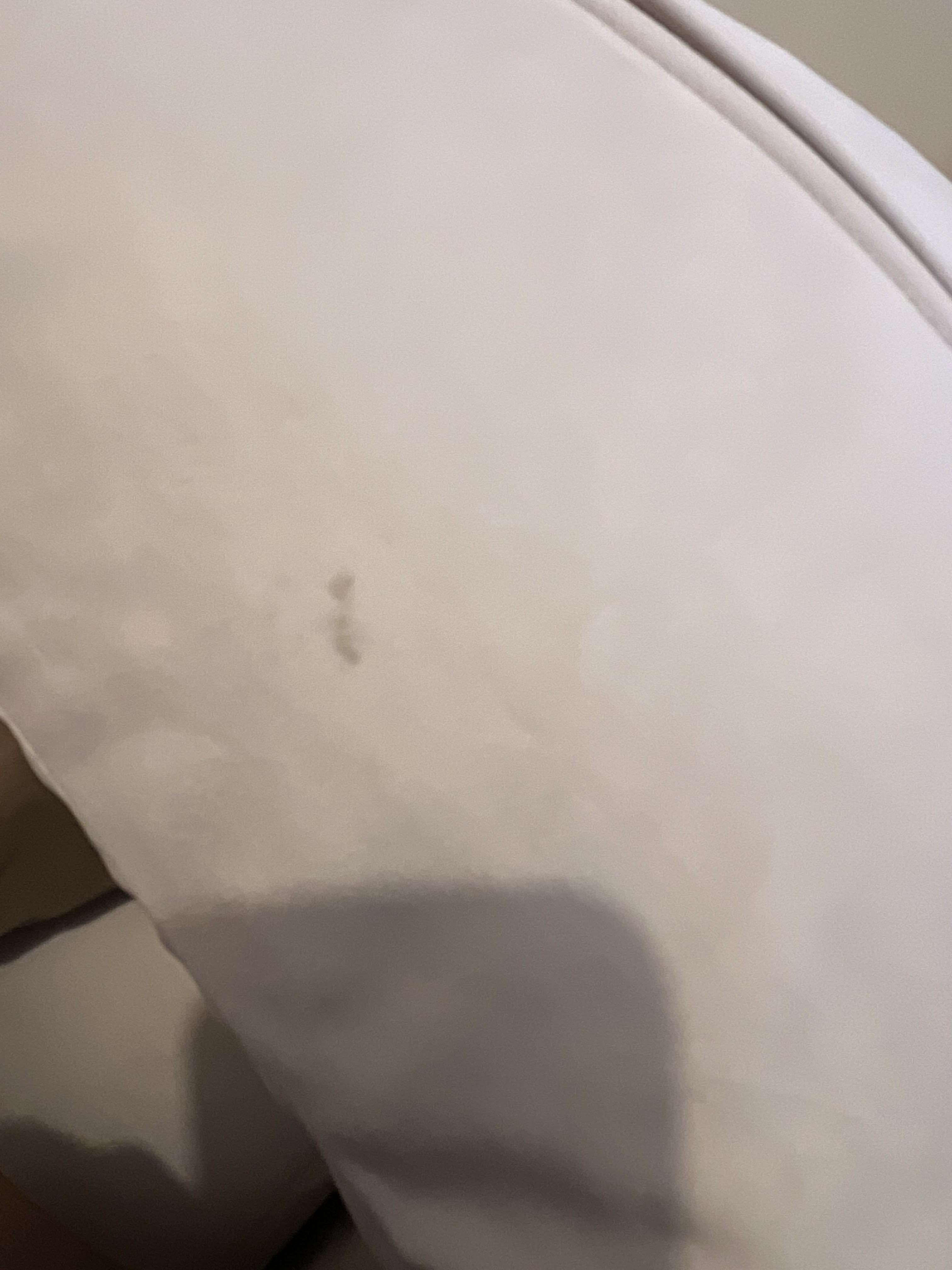 Photo n° 2 de l'avis de Ines.n fait le 13/01/2024 à 17:22