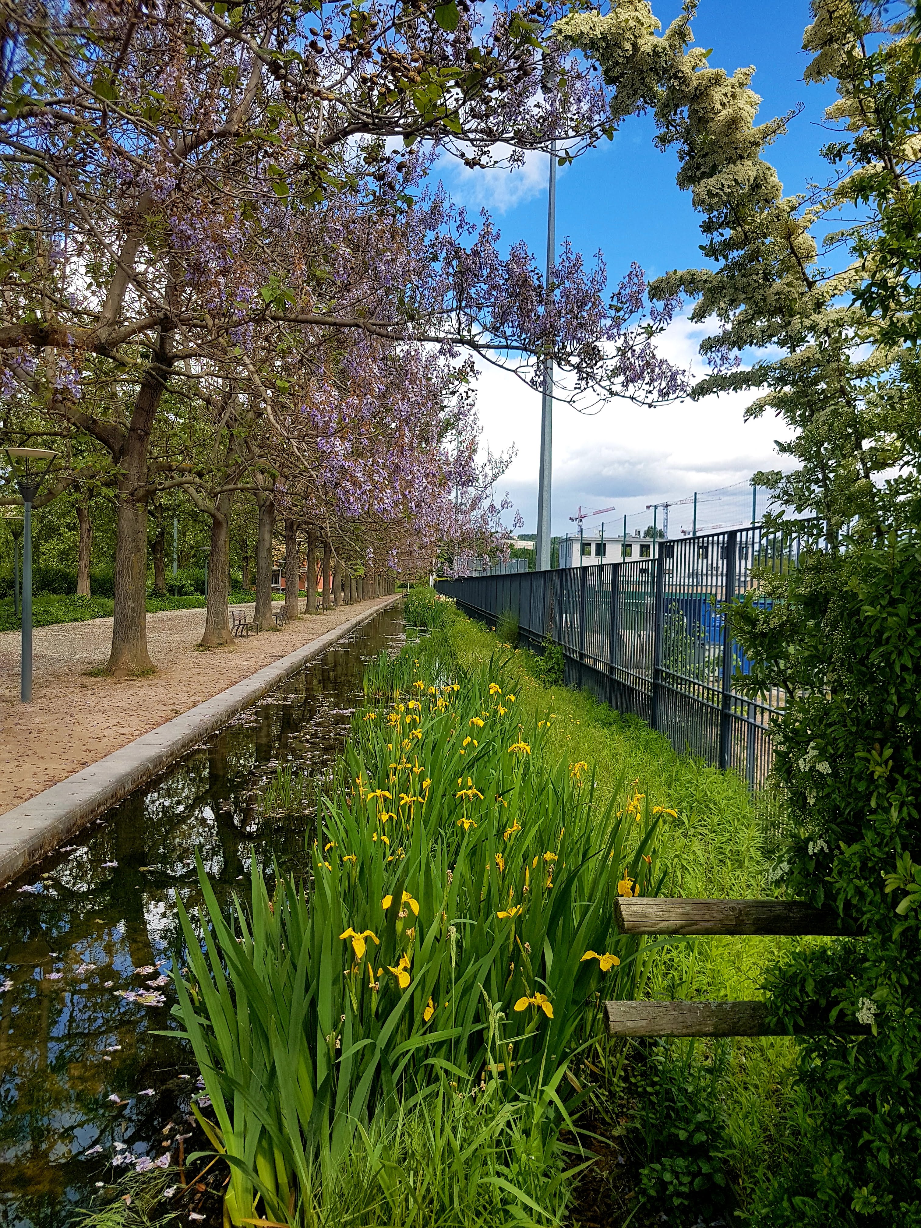 Photo n° 1 de l'avis de Robert.e fait le 12/05/2019 à 18:56