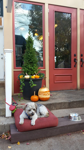 Coffee Shop «East Rock Coffee», reviews and photos, 49 Cottage St, New Haven, CT 06511, USA