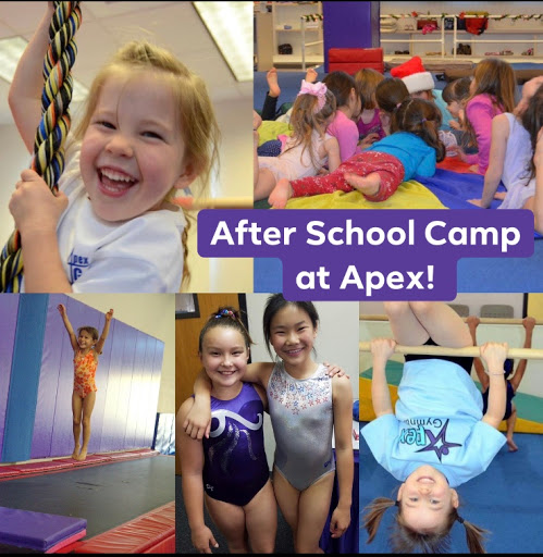 Gymnastics Center «Apex Gymnastics», reviews and photos, 3751 Charter Park Ct, San Jose, CA 95136, USA