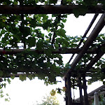 Photo n°4 de l'avis de Dion. fait le 05/08/2018 à 18:30 sur le  Ristorante Vinoteca Trevi à Allenfeld