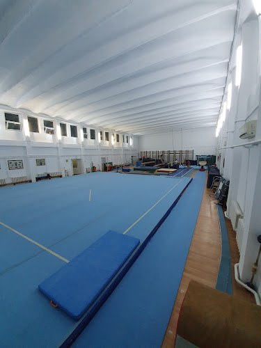 Sala gimnastica Andreea Raducan - <nil>