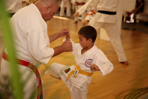 European Center for Okinawa Karatedo Shorinryu Shidokan