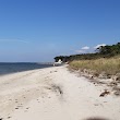 Savage Neck Dunes Natural Area Preserve