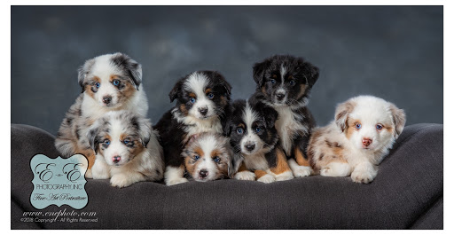 Royal Aussies of Virginia