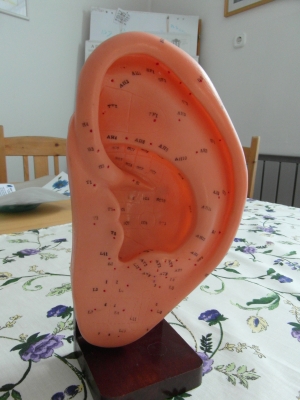 Halász-Természetgyógyászat - Nyíregyháza