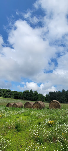 Public Golf Course «Bahle Farms Golf Course», reviews and photos, 9505 E Otto Rd, Suttons Bay, MI 49682, USA