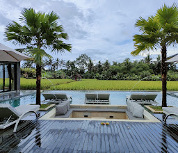 Villa Bora Bora photo