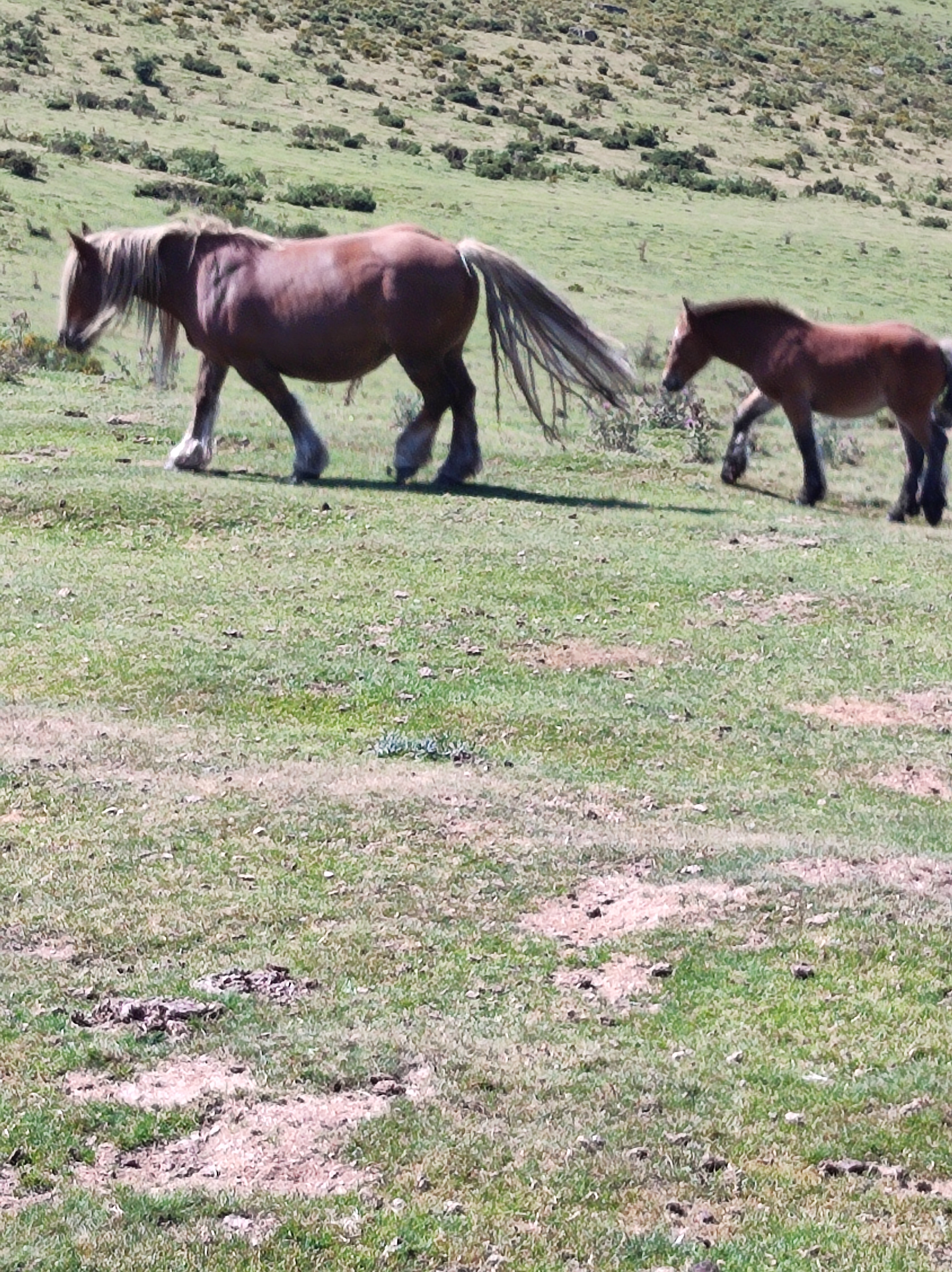 Photo n° 4 de l'avis de Cristina.o fait le 15/08/2022 à 10:21