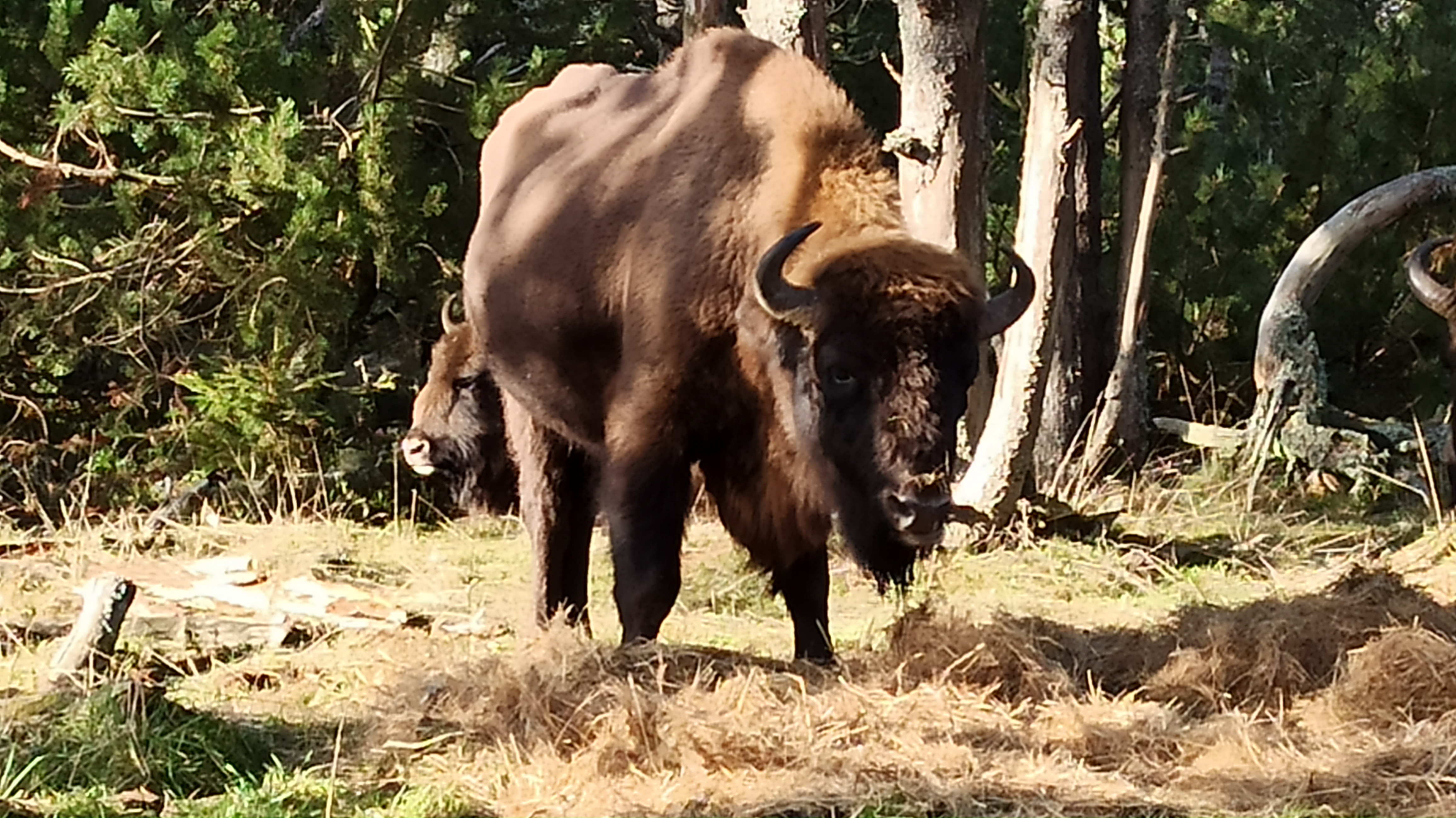 Photo n° 3 de l'avis de Anne-France.r fait le 01/01/2023 à 09:14
