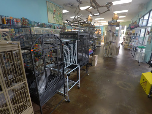 Tropic Zone Exotic Birds