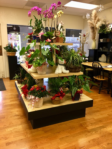 Florist «Grohe Florists», reviews and photos, 1313 McDonald Ave, Santa Rosa, CA 95404, USA
