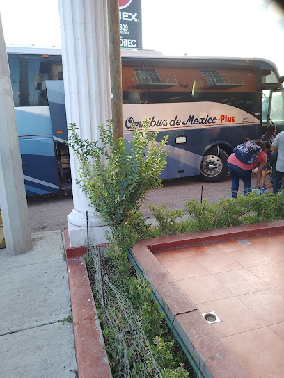 Omnibus de Mexico Colotlan Jalisco